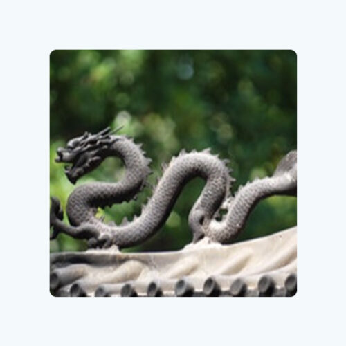 Dragon Scalper Pro Dragon Scalper Pro